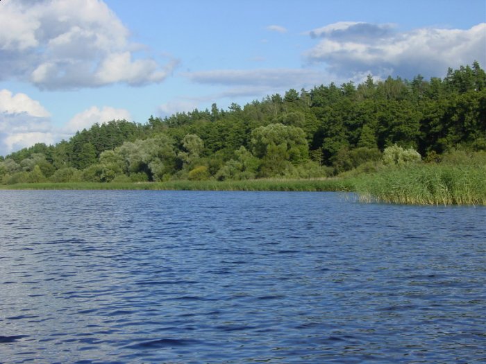 Shrap-Drakers.pl | Shrap Drakers Fishing | Wędkarstwo 