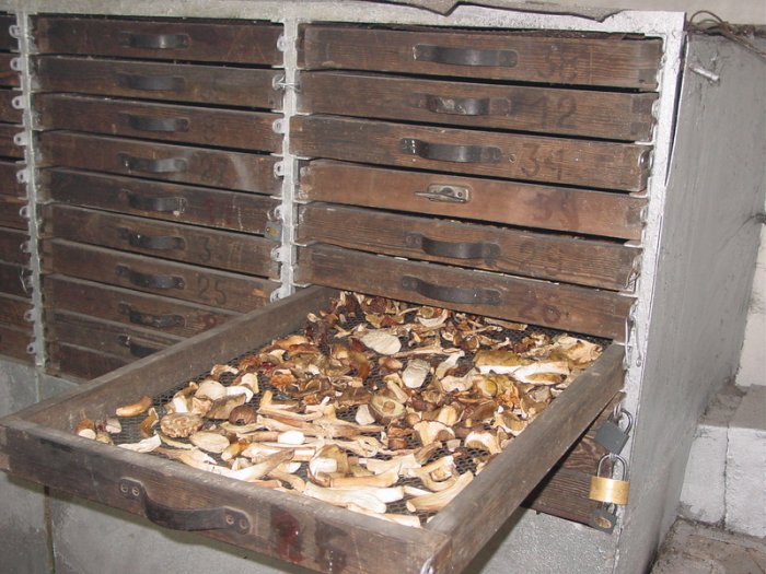 Shrap-Drakers.pl | Shrap Drakers Fishing | Wędkarstwo 