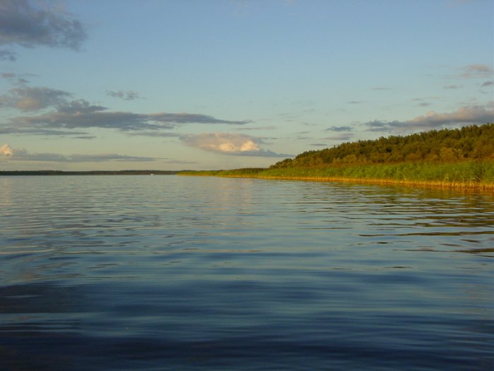 Shrap-Drakers.pl | Shrap Drakers Fishing | Wędkarstwo 