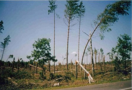 Shrap-Drakers.pl | Shrap Drakers Fishing | Wędkarstwo 