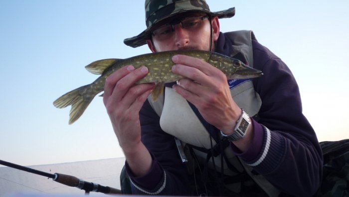 Shrap-Drakers.pl | Shrap Drakers Fishing | Wędkarstwo 