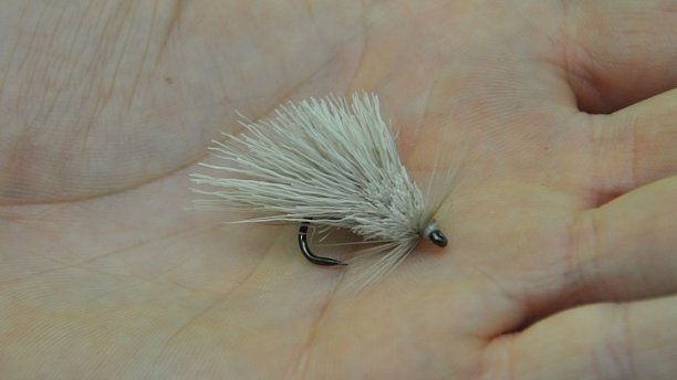 Shrap-Drakers.pl | Shrap Drakers Fishing | Wędkarstwo 