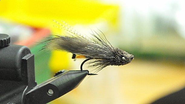 Shrap-Drakers.pl | Shrap Drakers Fishing | Wędkarstwo 