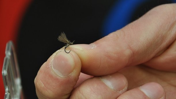 Shrap-Drakers.pl | Shrap Drakers Fishing | Wędkarstwo 