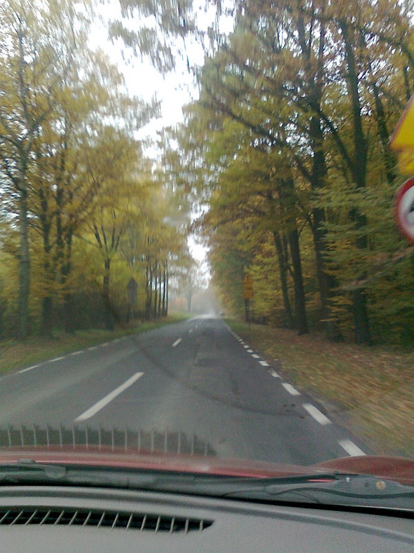 Shrap-Drakers.pl | Shrap Drakers Fishing | Wędkarstwo 