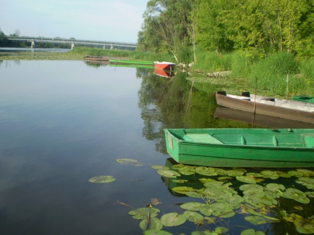 Shrap-Drakers.pl | Shrap Drakers Fishing | Wędkarstwo 