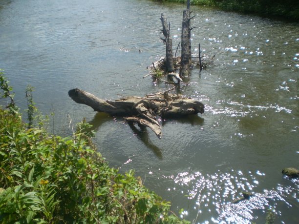 Shrap-Drakers.pl | Shrap Drakers Fishing | Wędkarstwo 