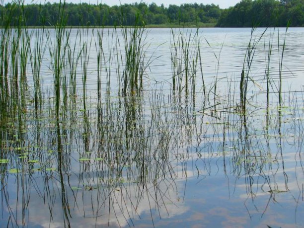 Shrap-Drakers.pl | Shrap Drakers Fishing | Wędkarstwo 