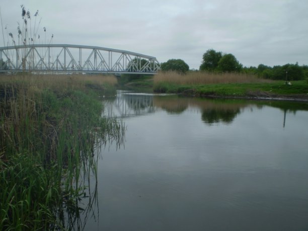 Shrap-Drakers.pl | Shrap Drakers Fishing | Wędkarstwo 