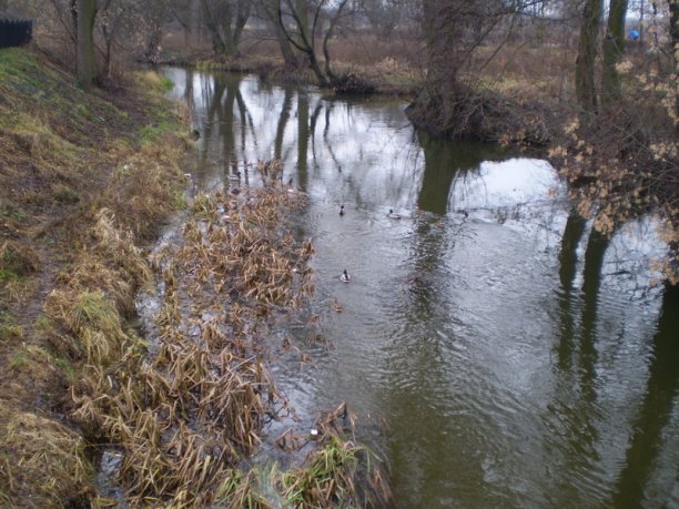 Shrap-Drakers.pl | Shrap Drakers Fishing | Wędkarstwo 