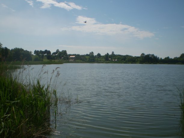 Shrap-Drakers.pl | Shrap Drakers Fishing | Wędkarstwo 