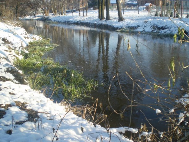 Shrap-Drakers.pl | Shrap Drakers Fishing | Wędkarstwo 