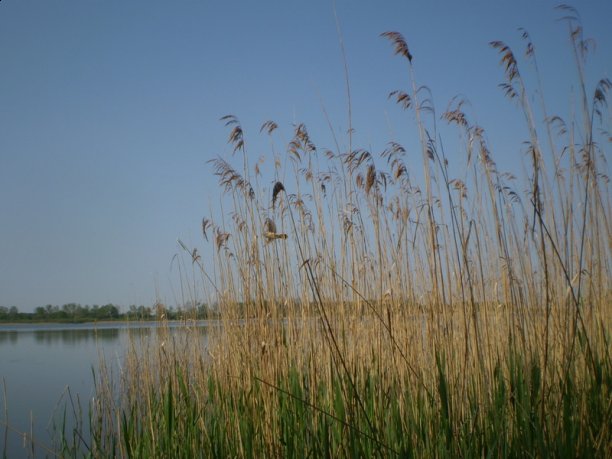 Shrap-Drakers.pl | Shrap Drakers Fishing | Wędkarstwo 