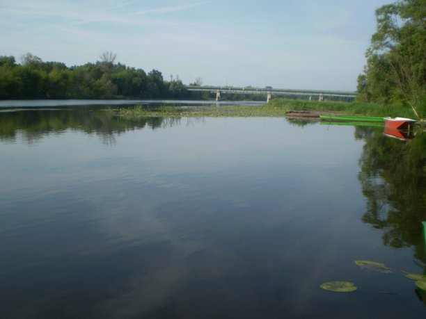 Shrap-Drakers.pl | Shrap Drakers Fishing | Wędkarstwo 