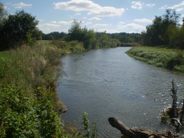 Shrap-Drakers.pl | Shrap Drakers Fishing | Wędkarstwo 