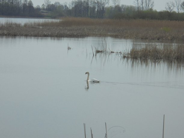 Shrap-Drakers.pl | Shrap Drakers Fishing | Wędkarstwo 