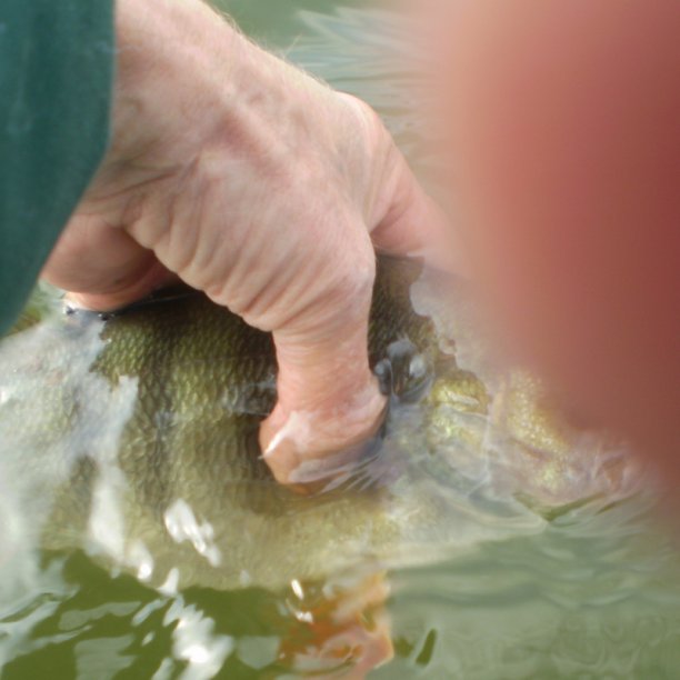 Shrap-Drakers.pl | Shrap Drakers Fishing | Wędkarstwo 