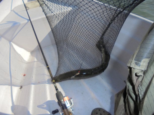 Shrap-Drakers.pl | Shrap Drakers Fishing | Wędkarstwo 