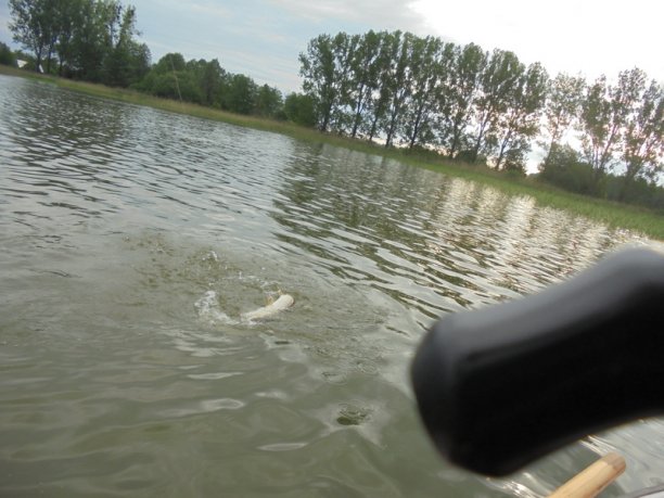 Shrap-Drakers.pl | Shrap Drakers Fishing | Wędkarstwo 