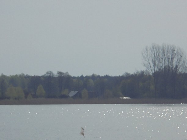 Shrap-Drakers.pl | Shrap Drakers Fishing | Wędkarstwo 