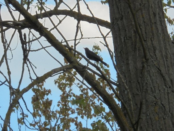 Shrap-Drakers.pl | Shrap Drakers Fishing | Wędkarstwo 