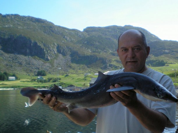 Shrap-Drakers.pl | Shrap Drakers Fishing | Wędkarstwo 