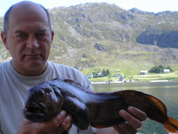 Shrap-Drakers.pl | Shrap Drakers Fishing | Wędkarstwo 