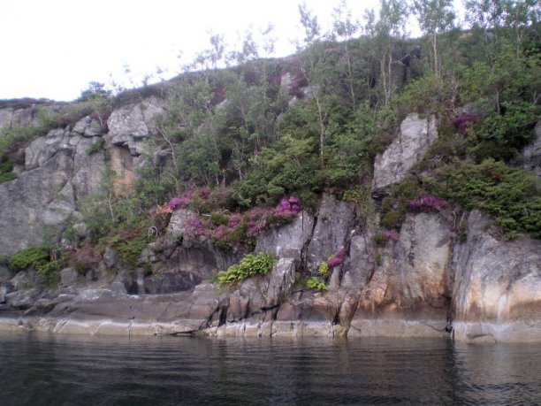 Shrap-Drakers.pl | Shrap Drakers Fishing | Wędkarstwo 