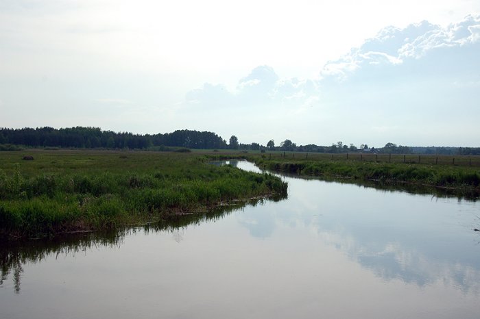 Shrap-Drakers.pl | Shrap Drakers Fishing | Wędkarstwo 