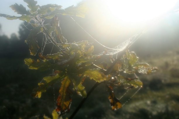 Shrap-Drakers.pl | Shrap Drakers Fishing | Wędkarstwo 