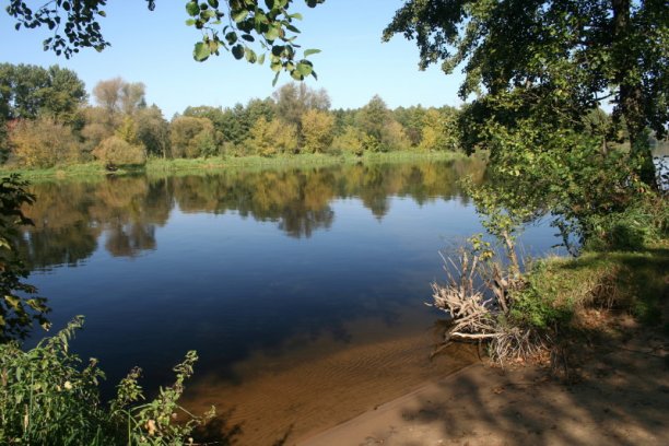 Shrap-Drakers.pl | Shrap Drakers Fishing | Wędkarstwo 