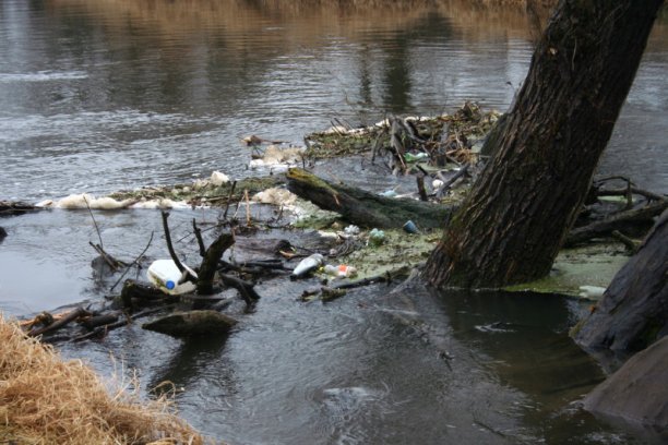 Shrap-Drakers.pl | Shrap Drakers Fishing | Wędkarstwo 