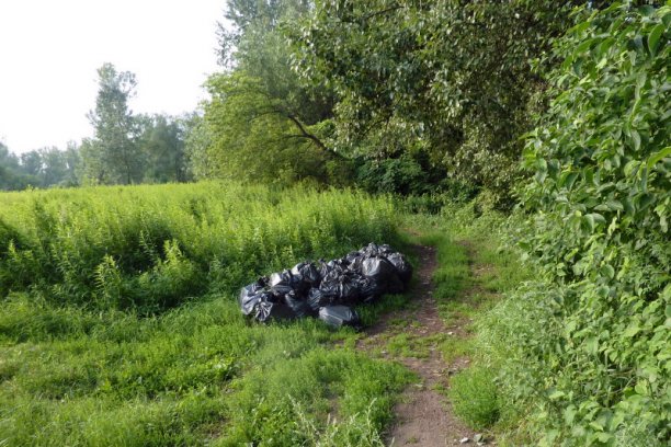 Shrap-Drakers.pl | Shrap Drakers Fishing | Wędkarstwo 