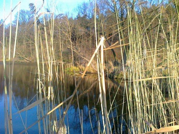 Shrap-Drakers.pl | Shrap Drakers Fishing | Wędkarstwo 