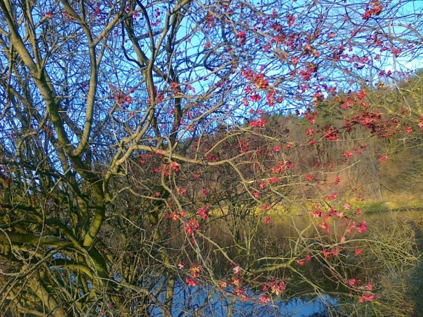 Shrap-Drakers.pl | Shrap Drakers Fishing | Wędkarstwo 