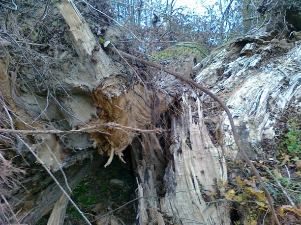 Shrap-Drakers.pl | Shrap Drakers Fishing | Wędkarstwo 