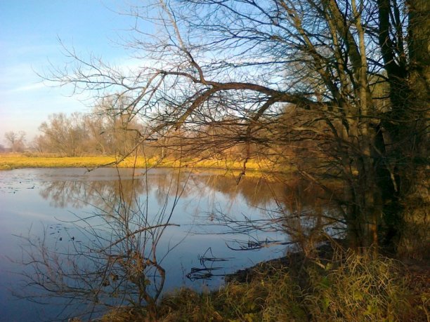 Shrap-Drakers.pl | Shrap Drakers Fishing | Wędkarstwo 