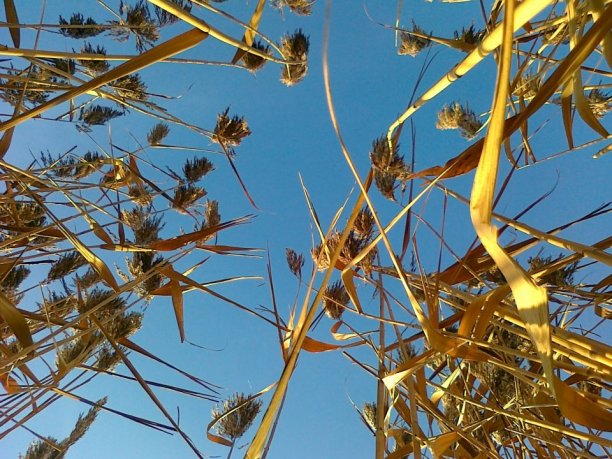 Shrap-Drakers.pl | Shrap Drakers Fishing | Wędkarstwo 