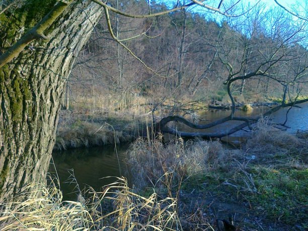 Shrap-Drakers.pl | Shrap Drakers Fishing | Wędkarstwo 