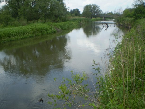 Shrap-Drakers.pl | Shrap Drakers Fishing | Wędkarstwo 