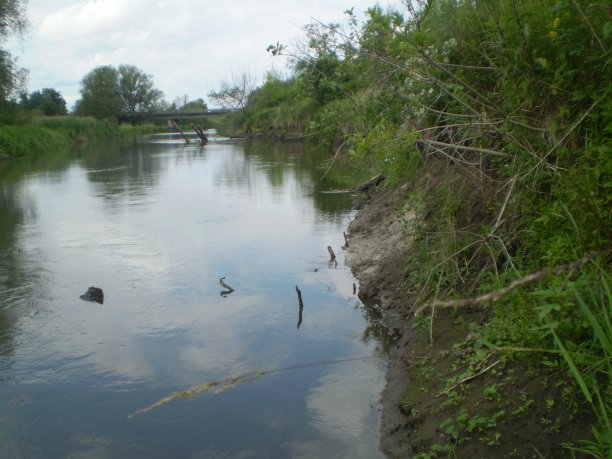 Shrap-Drakers.pl | Shrap Drakers Fishing | Wędkarstwo 