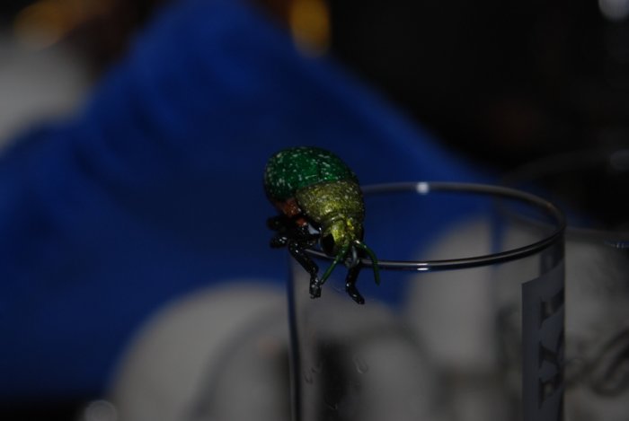 Shrap-Drakers.pl | Shrap Drakers Fishing | Wędkarstwo 