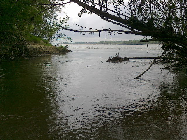 Shrap-Drakers.pl | Shrap Drakers Fishing | Wędkarstwo 