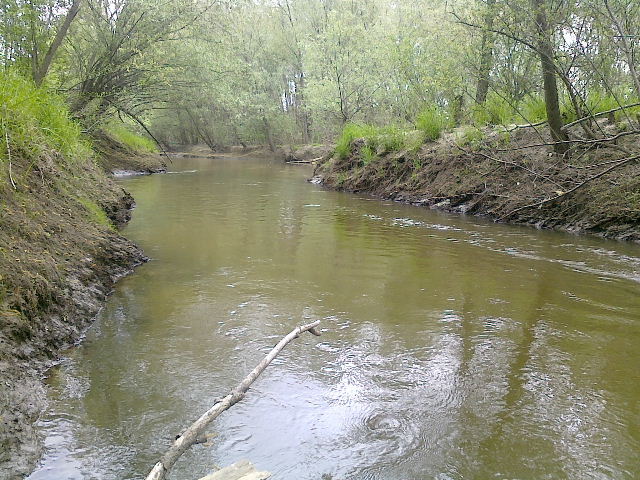 Shrap-Drakers.pl | Shrap Drakers Fishing | Wędkarstwo 