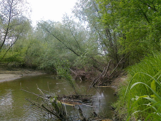 Shrap-Drakers.pl | Shrap Drakers Fishing | Wędkarstwo 