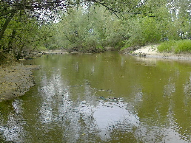 Shrap-Drakers.pl | Shrap Drakers Fishing | Wędkarstwo 