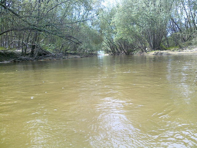 Shrap-Drakers.pl | Shrap Drakers Fishing | Wędkarstwo 