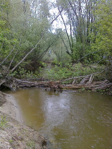 Shrap-Drakers.pl | Shrap Drakers Fishing | Wędkarstwo 