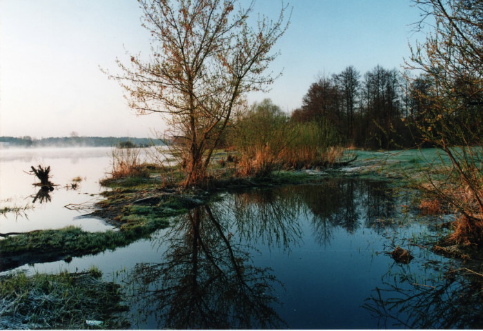 Shrap-Drakers.pl | Shrap Drakers Fishing | Wędkarstwo 