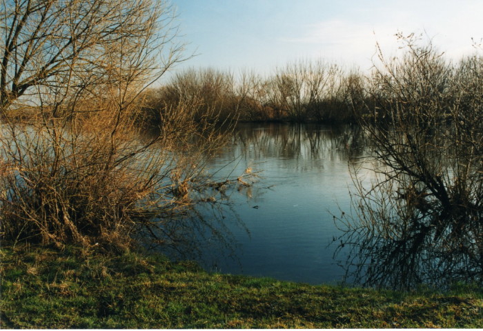 Shrap-Drakers.pl | Shrap Drakers Fishing | Wędkarstwo 